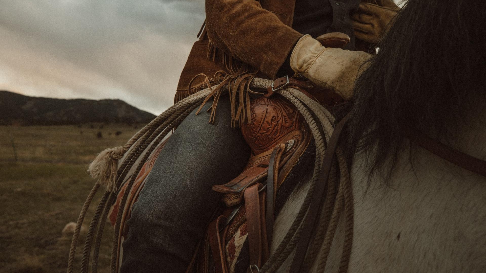 woman in brown leather jacket riding white horse during daytime